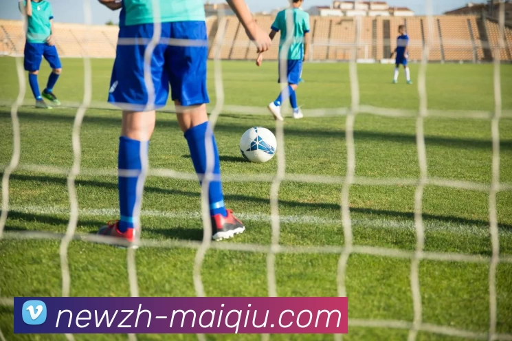 奖项证书